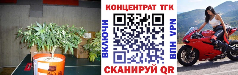 Дистиллят ТГК концентрат  магазин  наркотиков  Суздаль 
