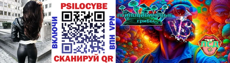 что такое   Суздаль  МЕГА   Галлюциногенные грибы MAGIC MUSHROOMS 