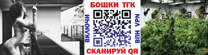 KRAKEN как войти  Суздаль  Канабис планчик 